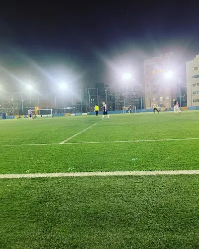 ملعب مدرسة دسمان