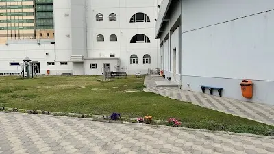 مدرسة الغزالي الأبتدائية بنين