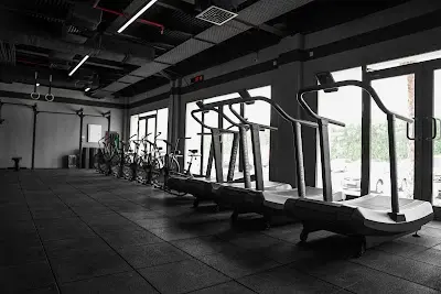 Panther Fitness