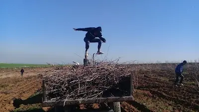 مركز سهاله للتدريب