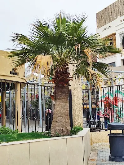 سوق الراشد التجاري