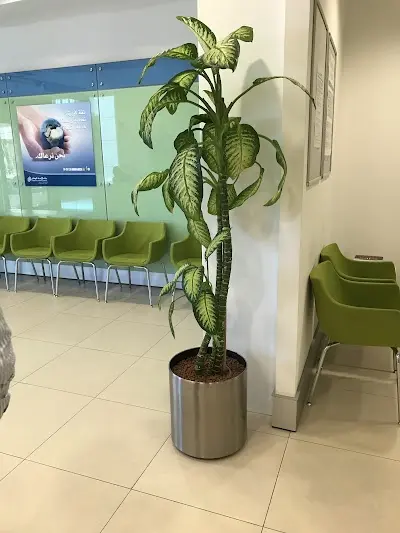 UNB Bank