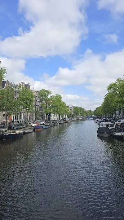 Amsterdam International Company