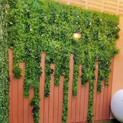 العمرية