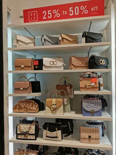 Aldo Accessories