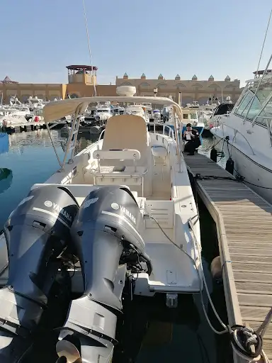 المسح البحري الفحيحيل