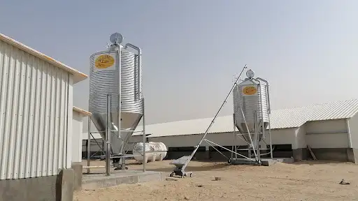 Alwazzan Poultry farm