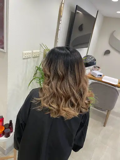 basic beauty salon
