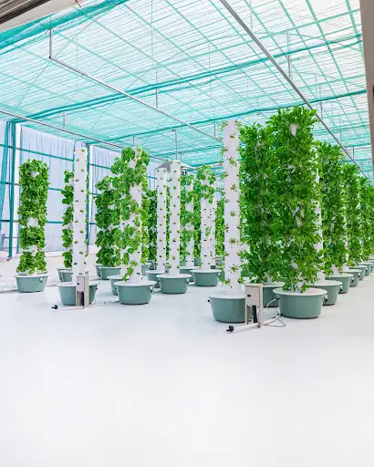 Beyond Organic KW - Wafra Farm