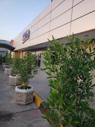 بنك الكويت الوطني الصباحية