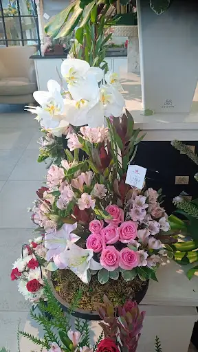 بوابة الهدايا - الرقعي
