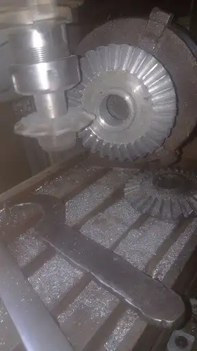 بذور الكويت