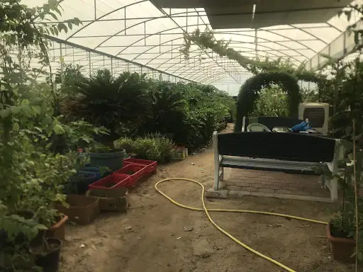 Dana farm wafra مزرعة دانه الوفرة
