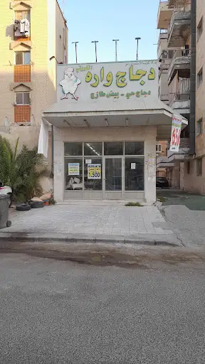 دجاج وارة