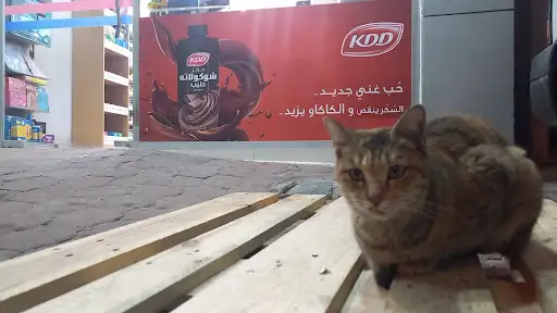 Dukkan Salmiya 2