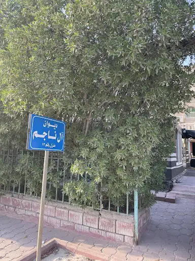 ديوان ال ناجم