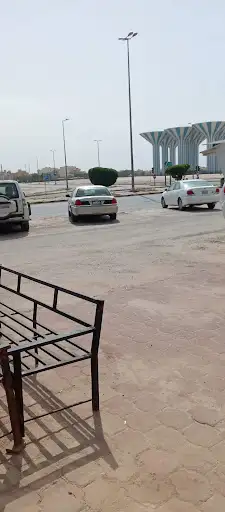 ديوان الدكتور: فيصل عايش الحميداني