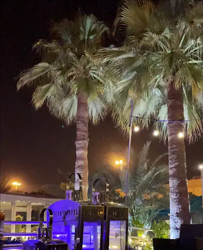 ديوان أسد العلي