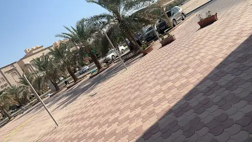 ديوان محمد المنير
