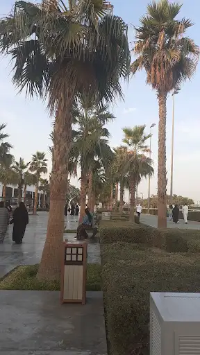 ديوان صلاح محمد الرشدان العدواني