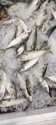 Fresh Fish Shop