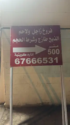 فروخ زاجل ولاحم للاكل الوفرة