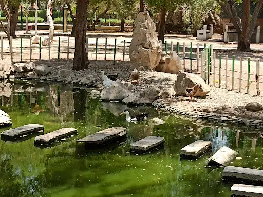 حديقة البط - الشعب