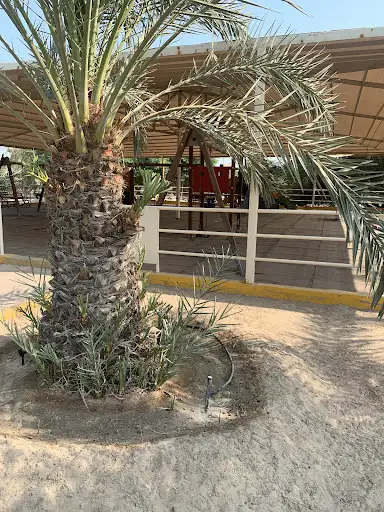 حديقة مشرف المصغرة