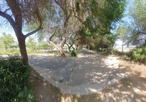 Jabria walking track