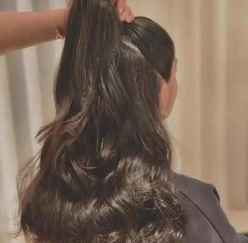 L'oiseau Salon