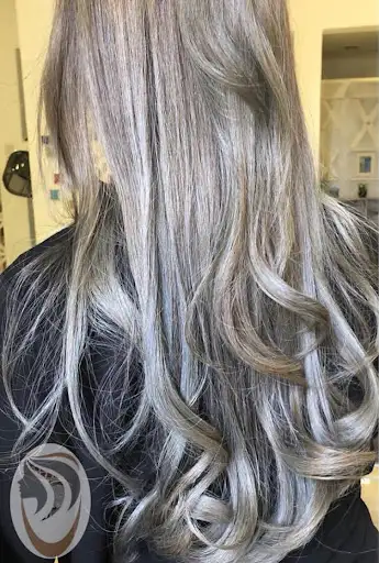 Luminous salon