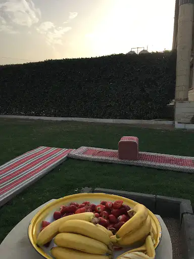 مبارك خليفة البحيري
