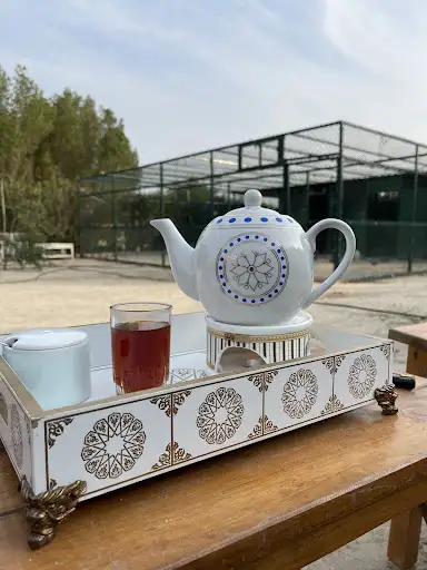 مجلس إستقبال للضيوف