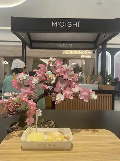 MOISHI