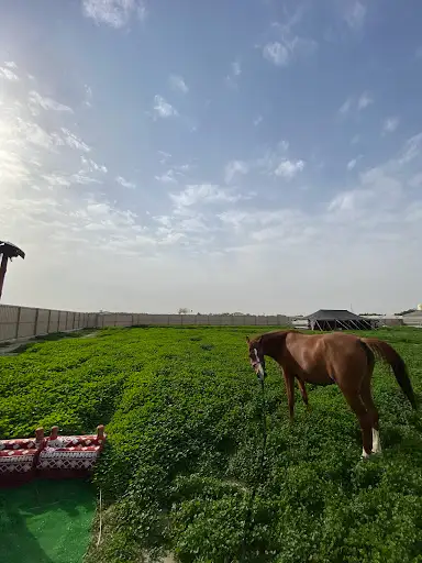مربط الذكرالله