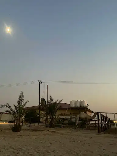 مرضي بن مرضي الشقيفي