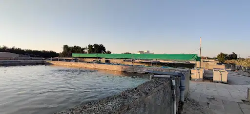 مزرعة الأسماك