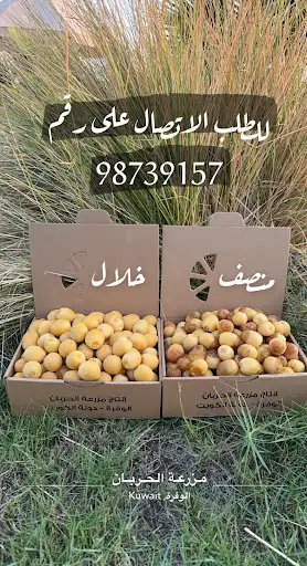 ‏مزرعة بدر الحربان