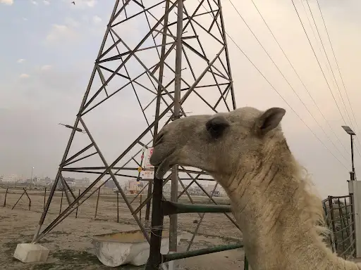 مزرعة خالد المهيلان