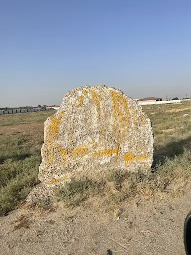 مزرعة مبارك الهندال - الوفرة
