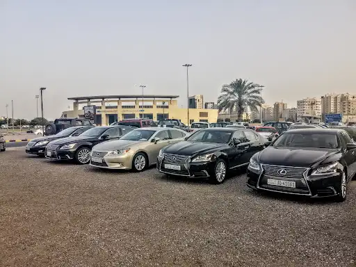 نضال القاضي