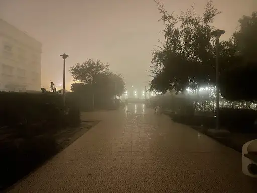 Park