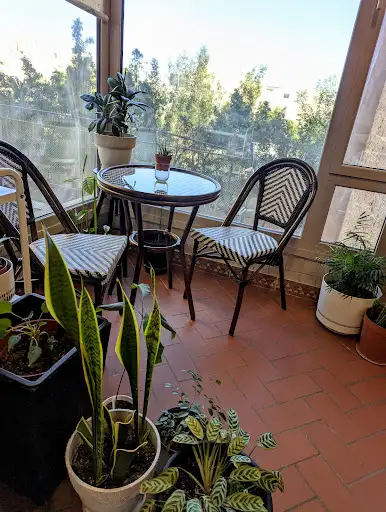 Reeno's Patio