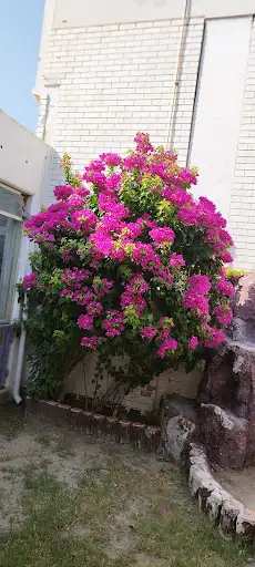 روضة الاندلس