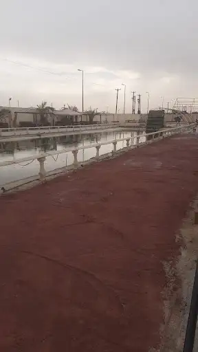 روده بارك