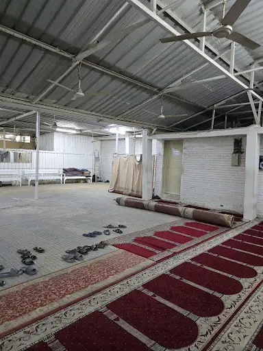 شبرة مسجد الصحابة
