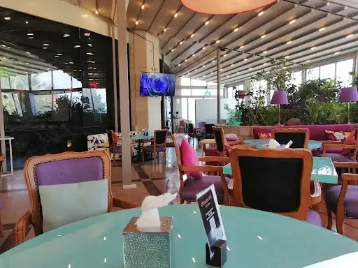 شوكو كافيه