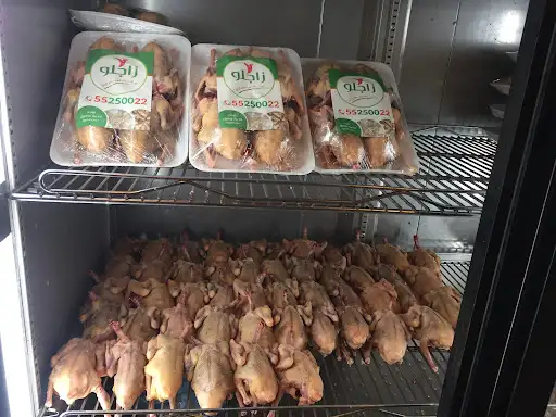 شركه زاجلو لبيع فروخ حمام