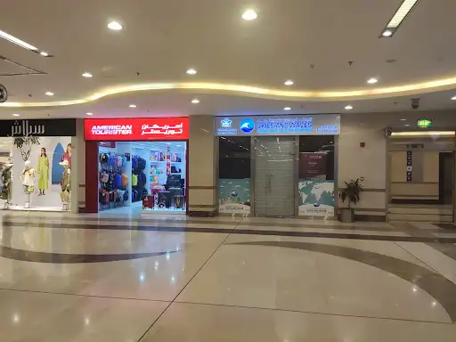 SKIES & WAVES Travel Company