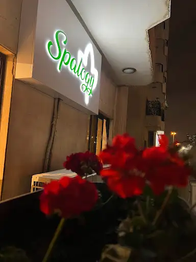 Spalogy Salon صالون سپالوجي